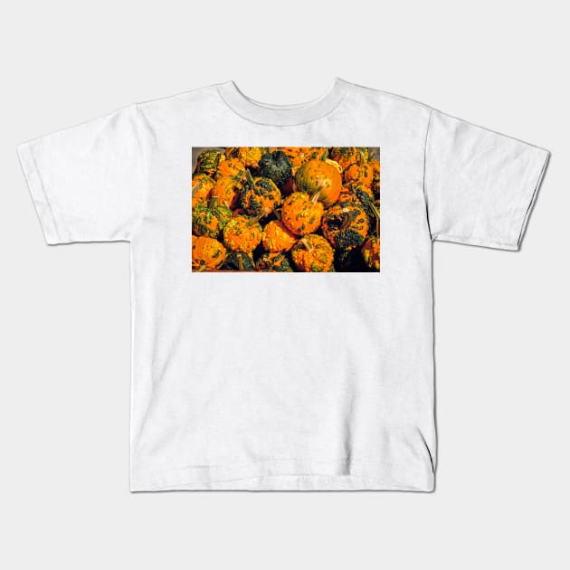 Fall Squash 2 Kids T-Shirt by Robert Alsop